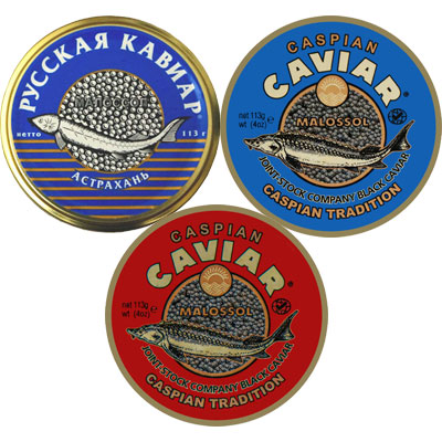 Russischer Kaviar: Beluga & Stör & Sevruga